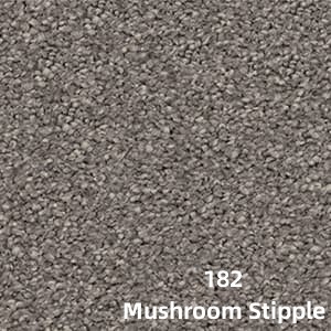 Solution Dyed Nylon Carpet – Supreme Touch